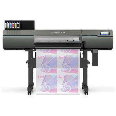 What ink system does the printer use?